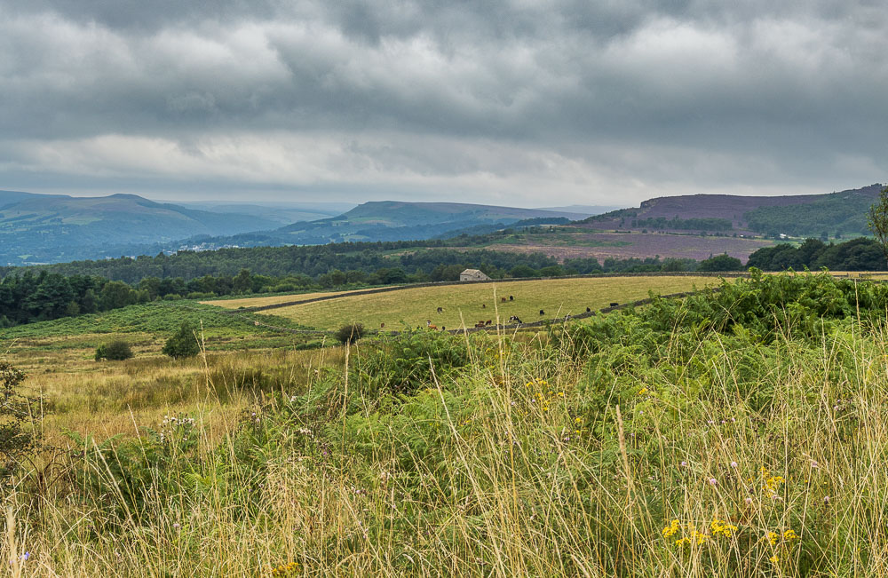 Millstone Edge Millstone Edge